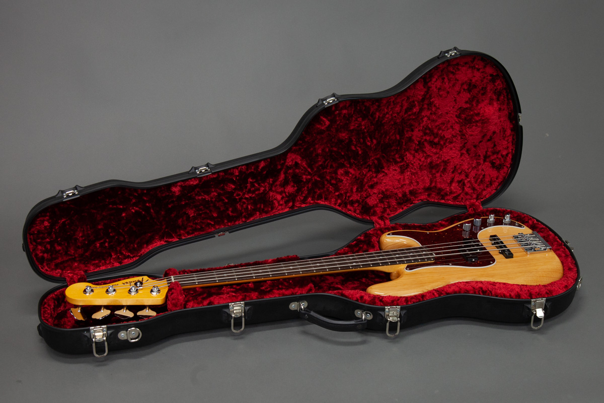 Best bass case new arrivals