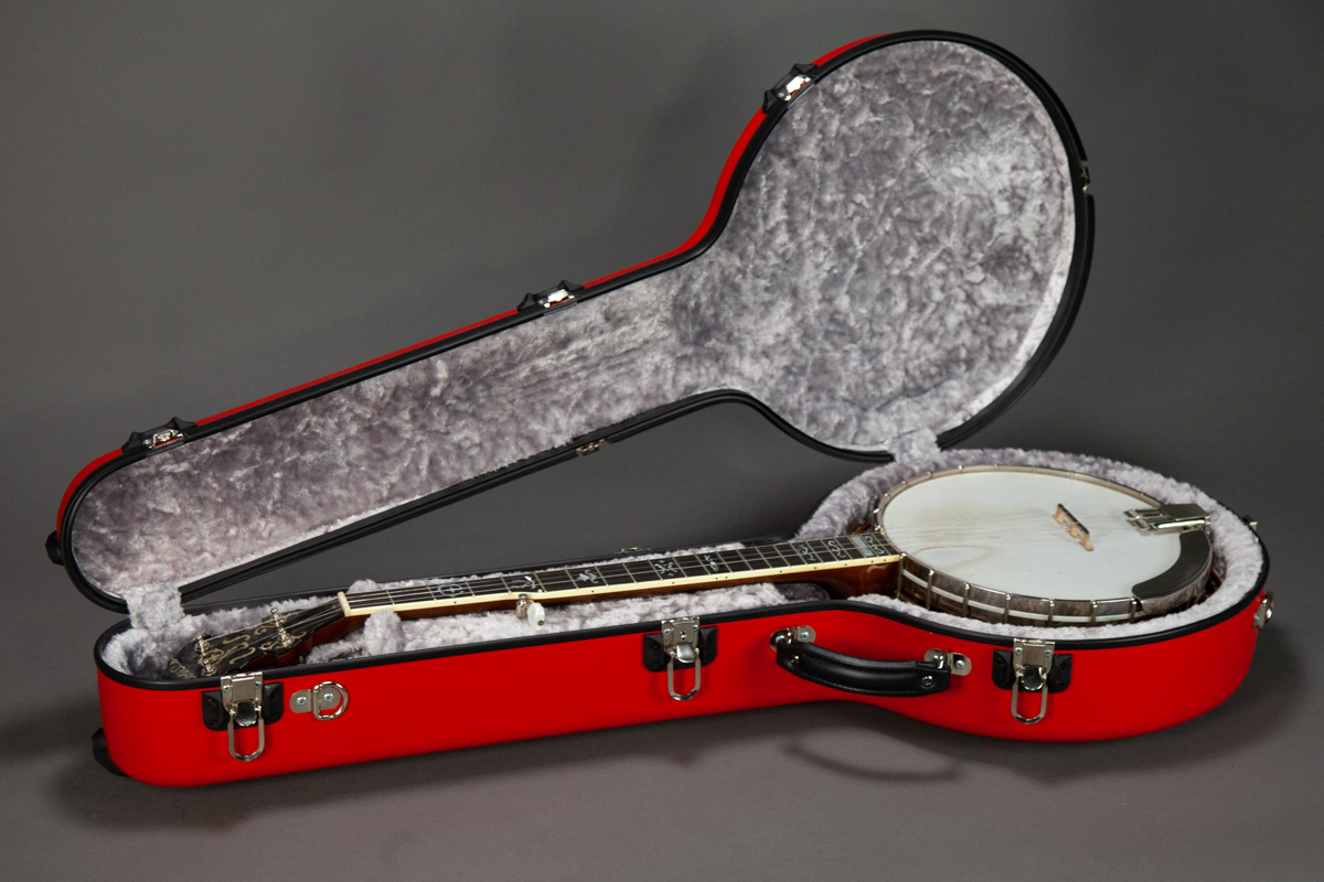 Soft best sale banjo case