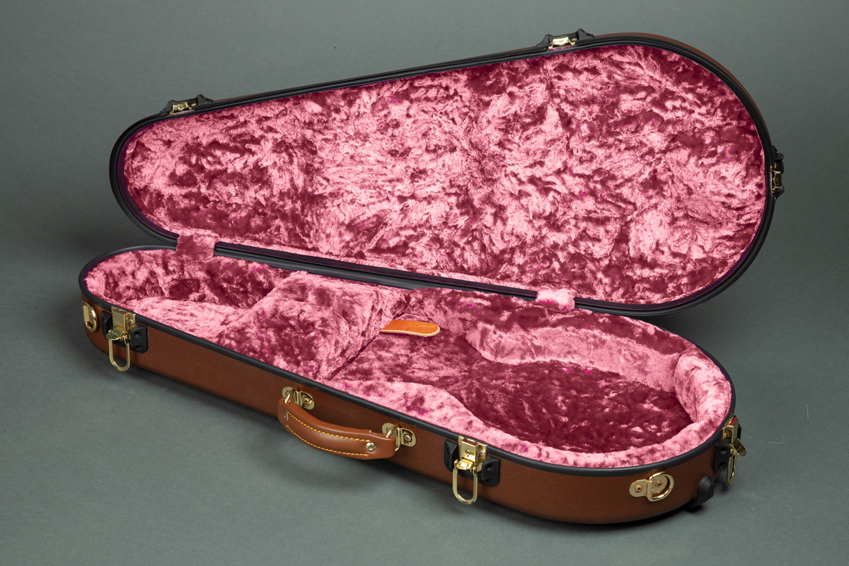 Calton mandolin deals case for sale